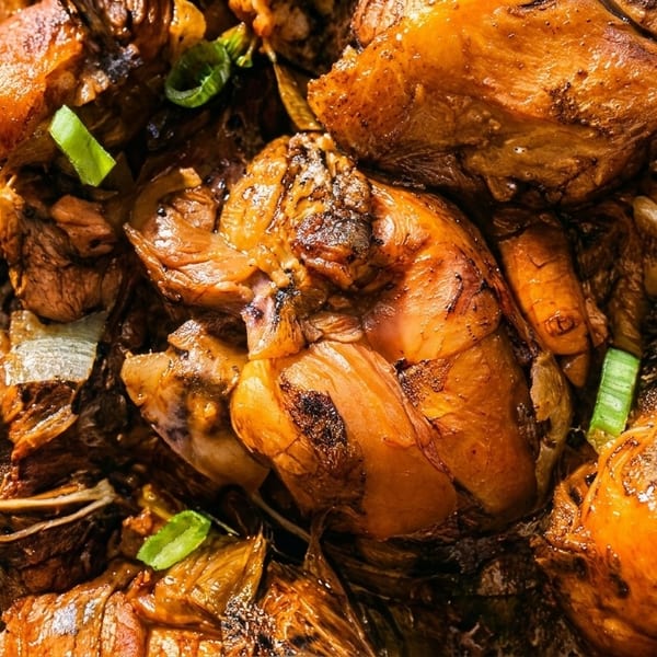 Close-up of savory braised chicken and vegetables in a rich, dark sauce, garnished with green onions.